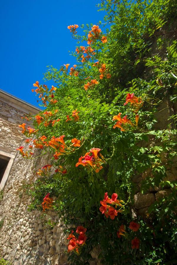 Apartman Ana Skradin Exterior foto